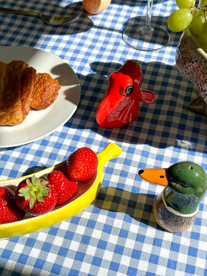 Salt and Duck Colvert Duck