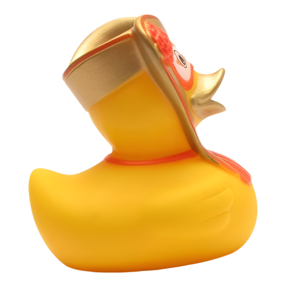 Pato, Carnaval de Veneza, Homem