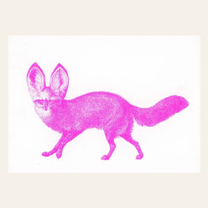 Postal de Fennec rosa néon