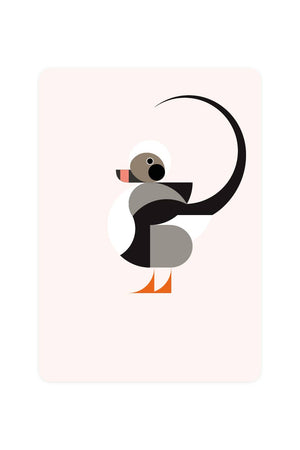 Carte Postale avec Ice Duck