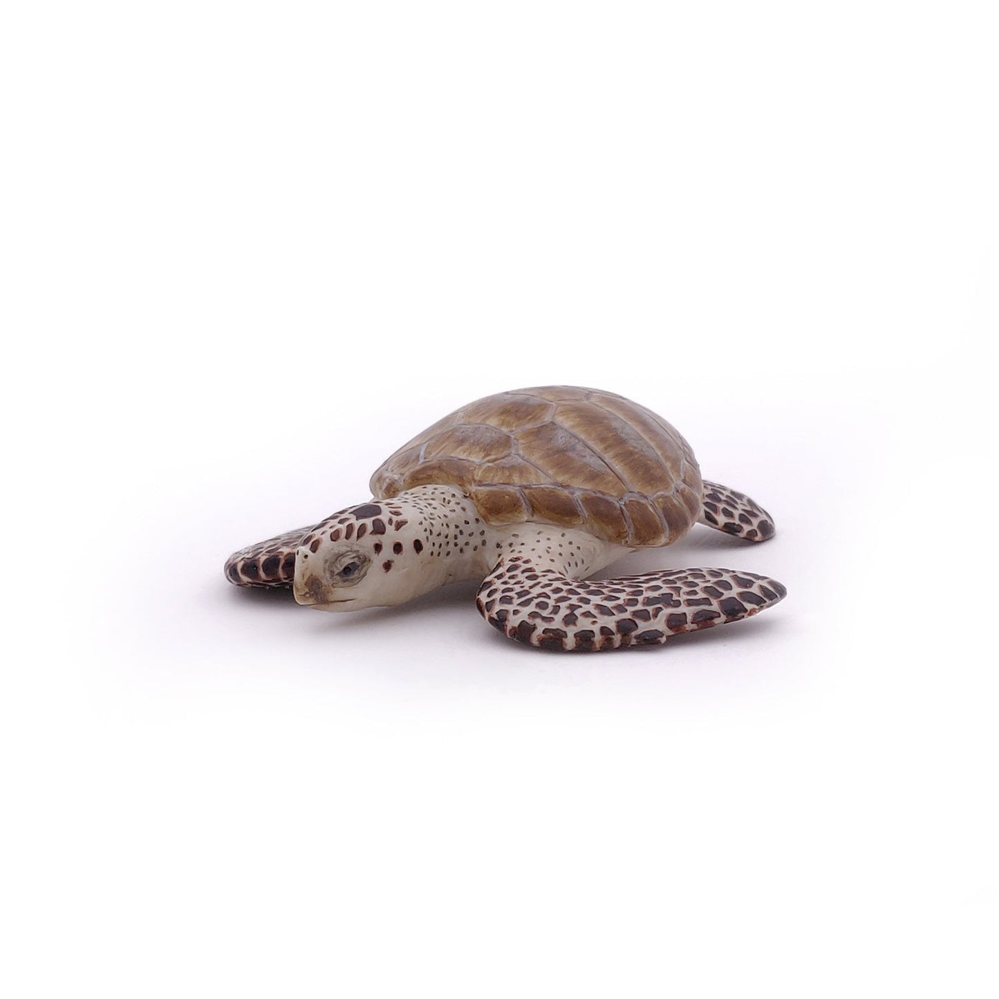 Figurine Tortue caouanne