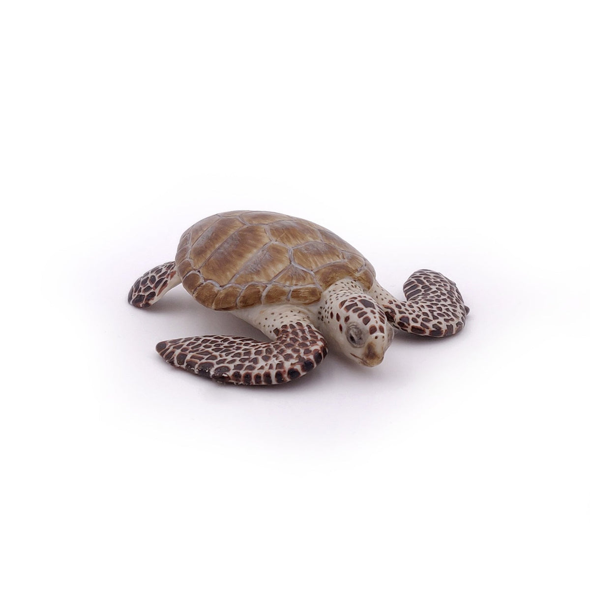 アカウミガメのフィギュア