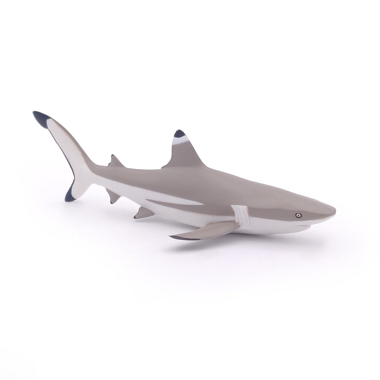 Blacktip Reef Shark Figurine