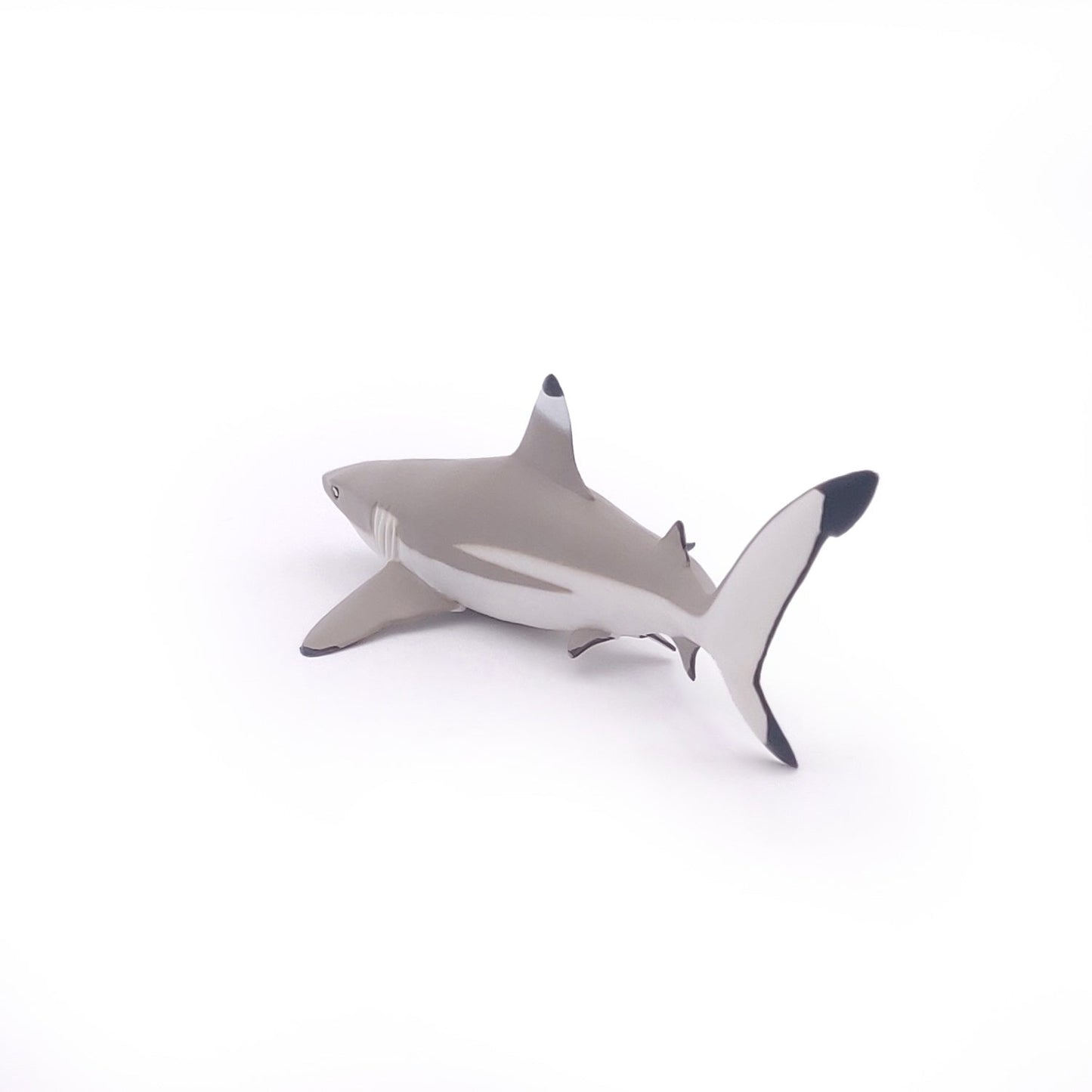 Blacktip Reef Shark Figurine