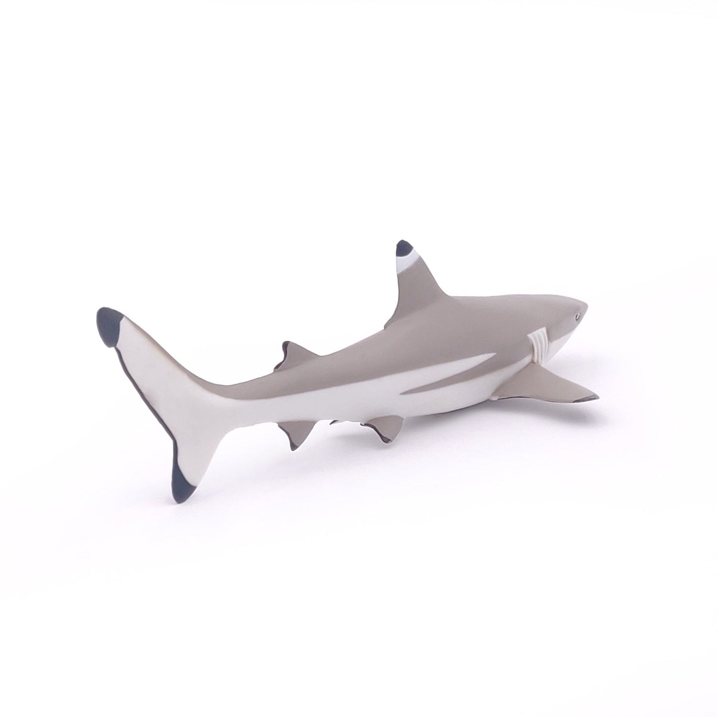 Blacktip Reef Shark Figurine