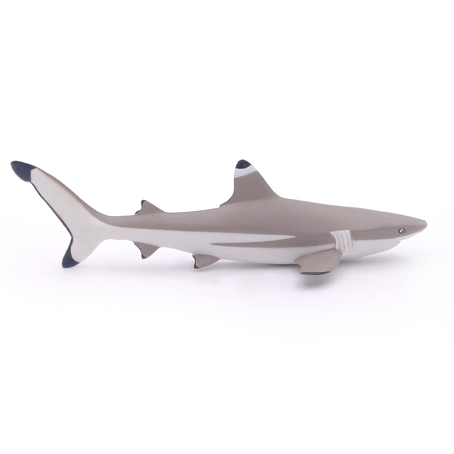 Blacktip Reef Shark Figurine