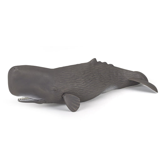 Figurine Cachalot