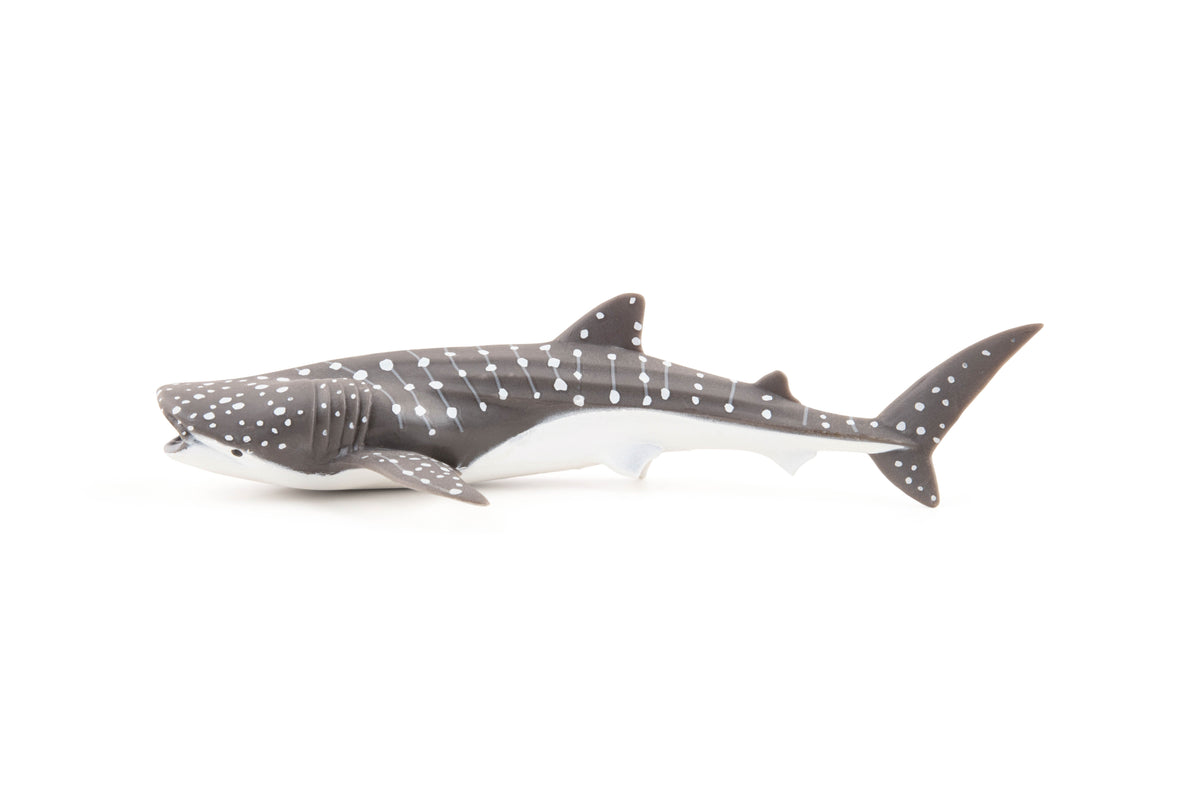 Figurine Jeune requin baleine