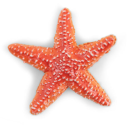 Figurine Etoile de mer