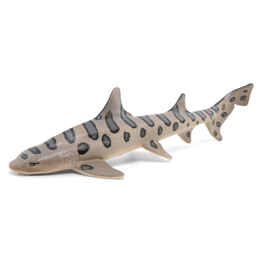 Tiburón leopardo