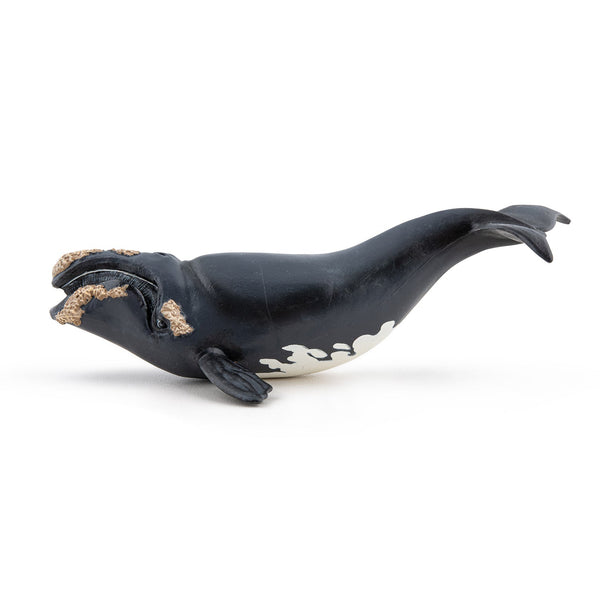 Figurine Baleine franche Papo - animal marin