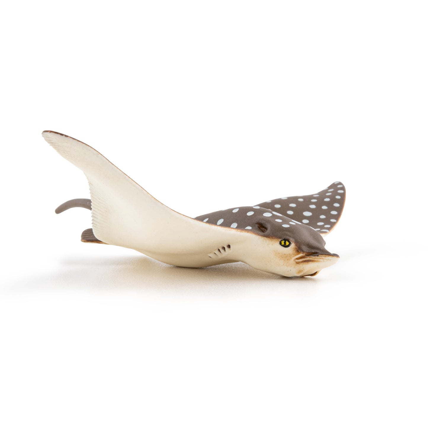 Figurine Raie léopard