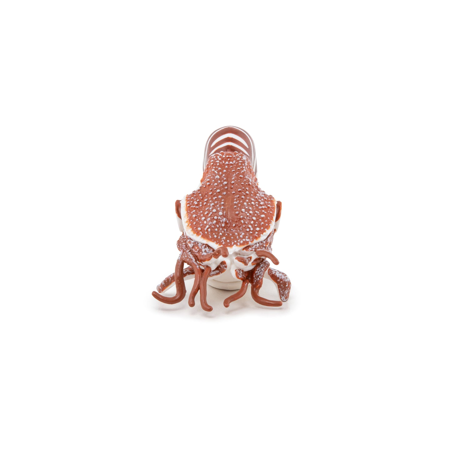Nautilus Figurine