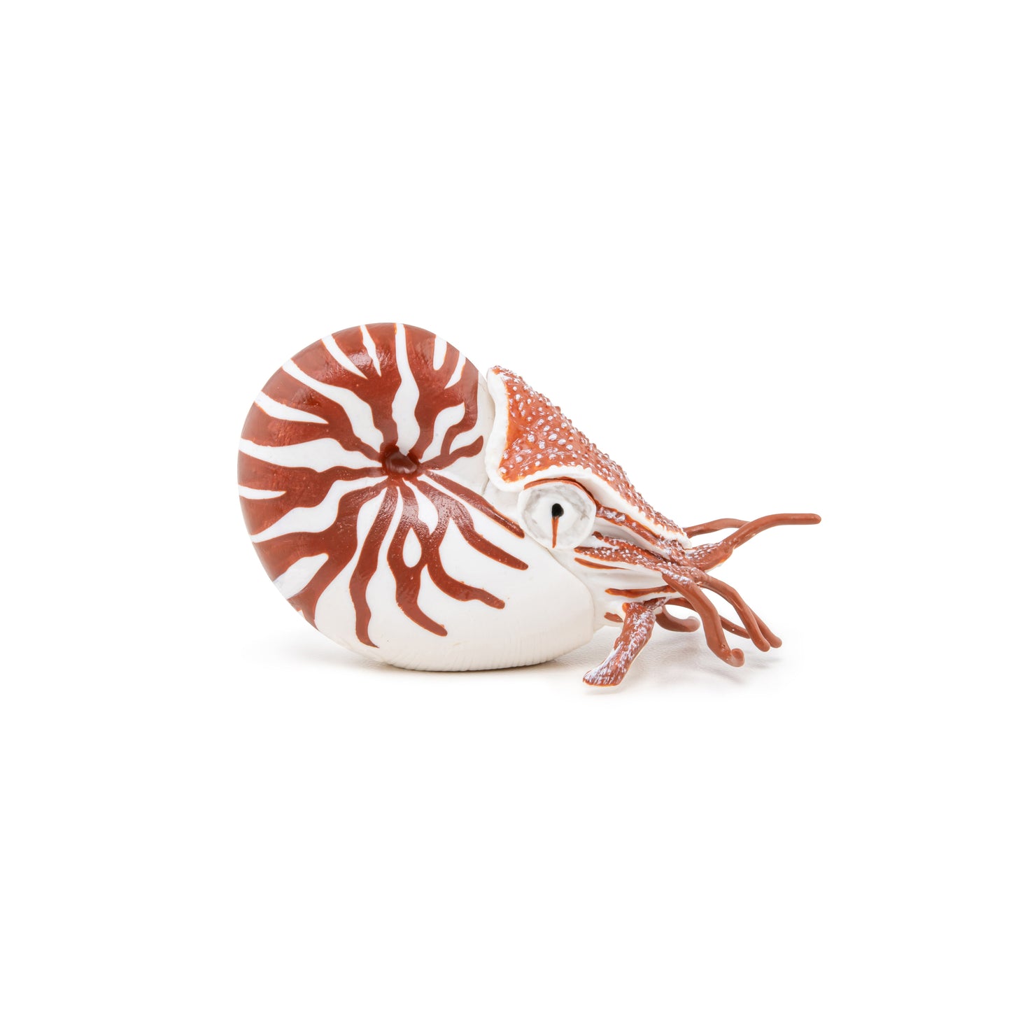 Nautilus Figurine