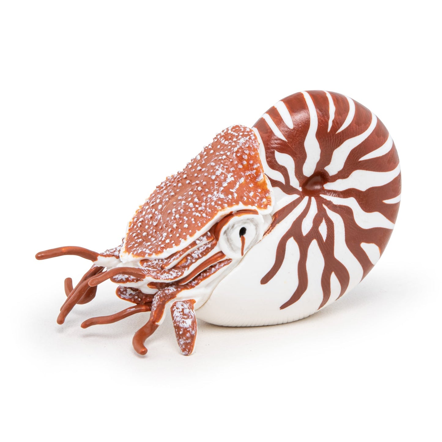 Nautilus Figurine