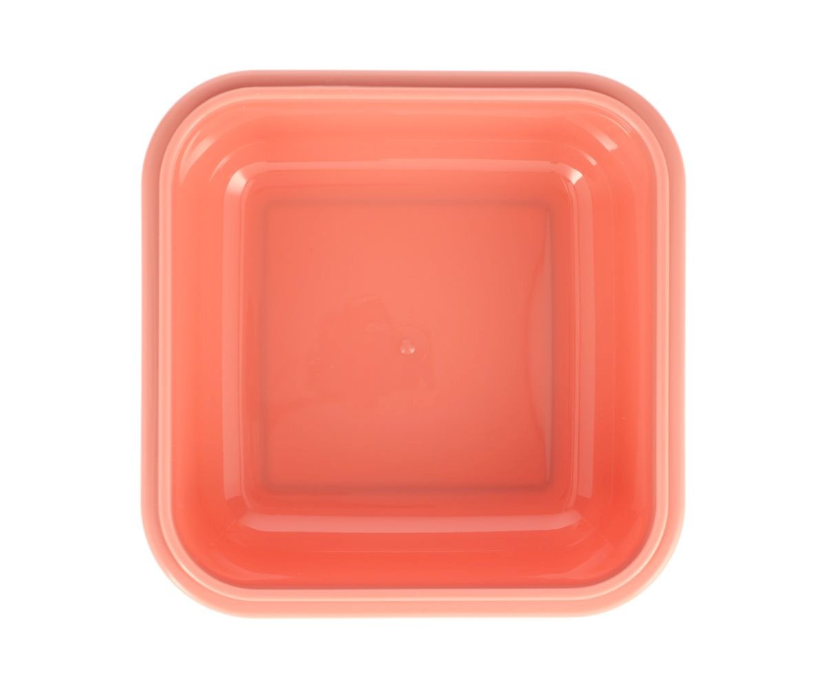 Grande Boîte à Déjeuner Fées Sauvages