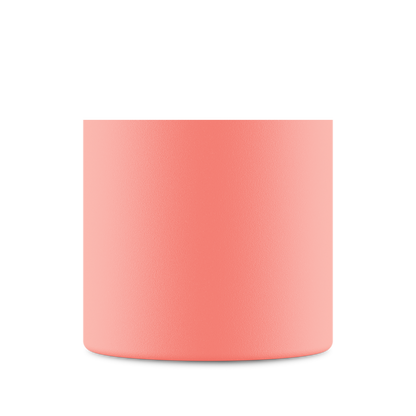 Clima Bottle | Blush Rose - 500 ml
