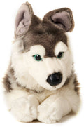 Peluche Husky Couché - 40 cm (Longueur)