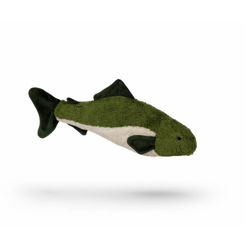 Piccoli teneri pesciolini di abete verde | Senger-Naturwelt