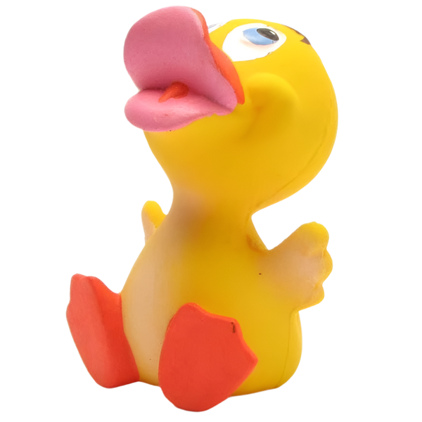 Canard Bébé