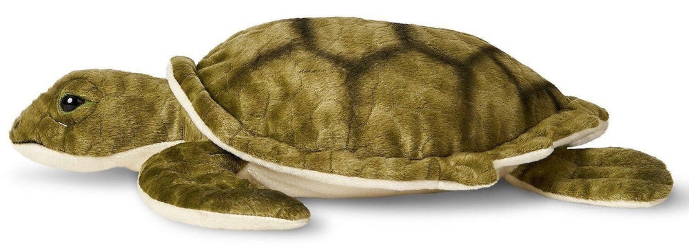 Peluche Tortue de Mer Verte