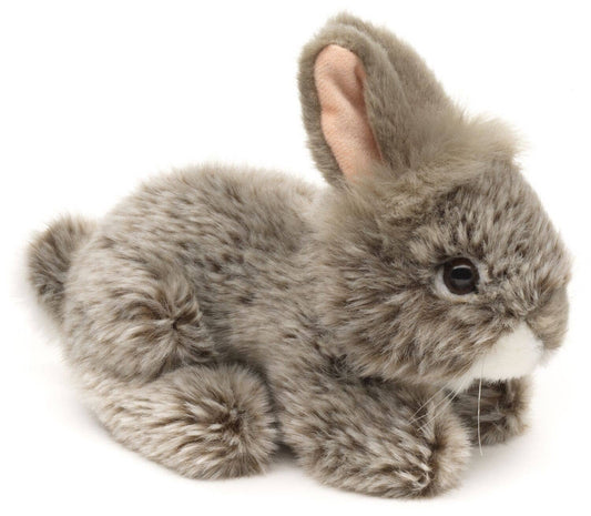 Conejo de angora, peluche tumbado (gris)