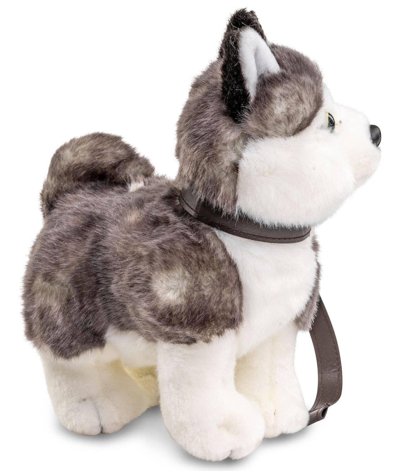 Peluche Chiot Husky avec Laisse