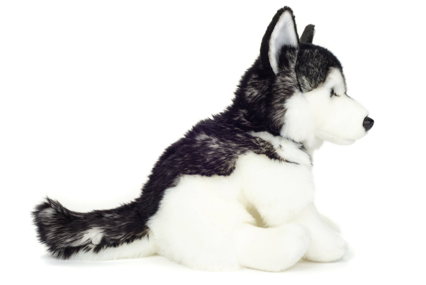 Peluche de husky sentado