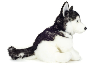 Peluche de husky sentado