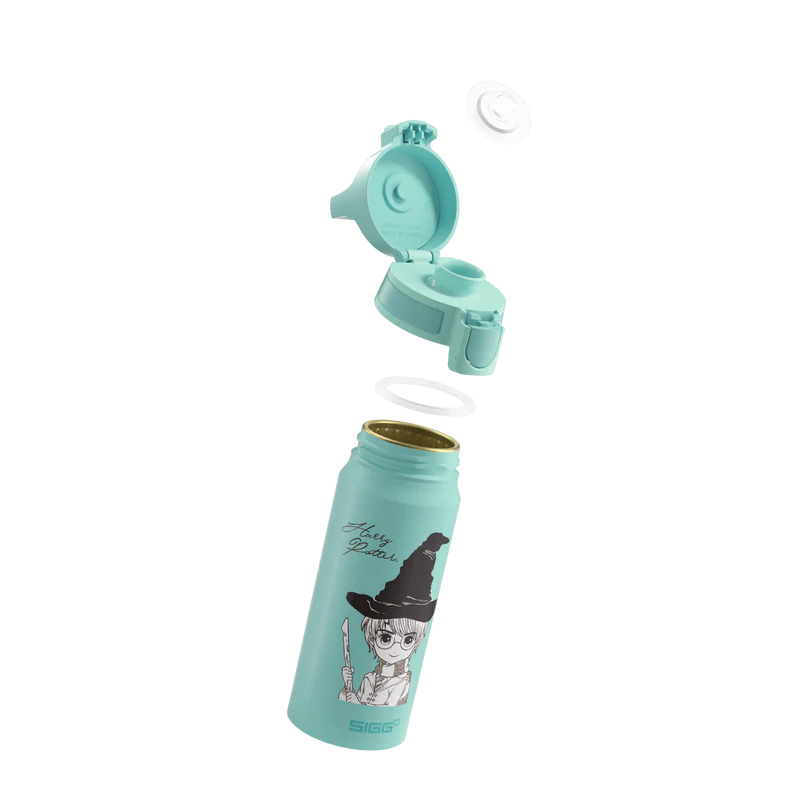 Botella de agua WMB ONE Kids Harry Potter de 0,6 L 