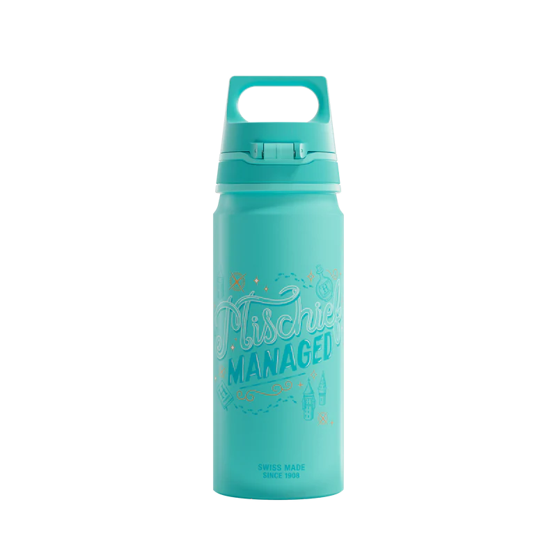 Botella de agua WMB ONE Kids Harry Potter de 0,6 L 