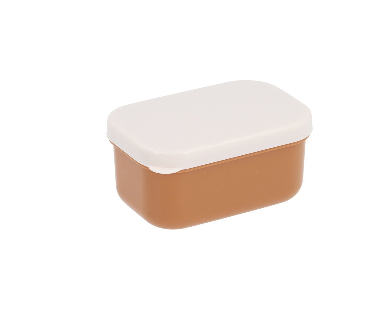 Boîte à déjeuner Bento Savane
