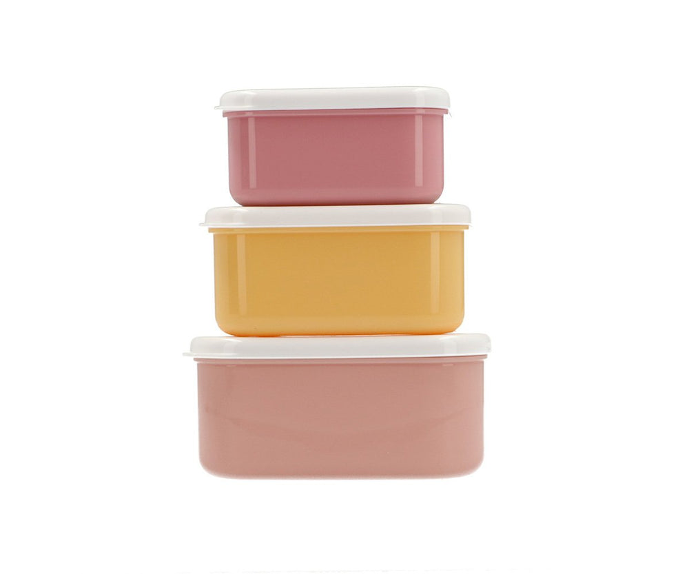 3 Insect Lunch Boxes
