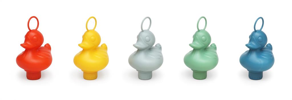 Fishing Ducks Box - ECO