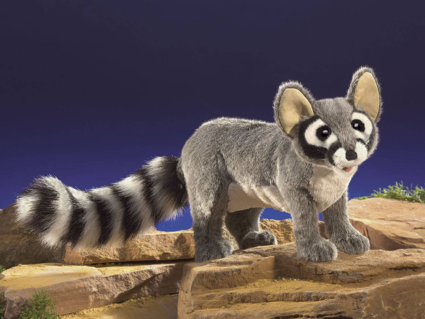 Marionnette à main Katzenfrett (famille des ratons laveurs) 3122/ Ringtail Cat Folkmanis réaliste