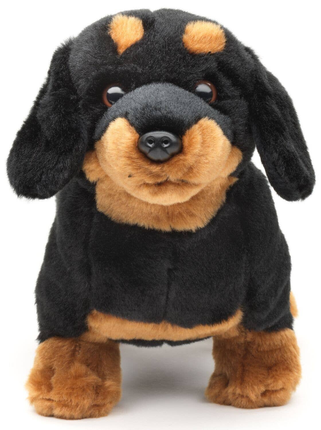 Peluche Teckel Debout