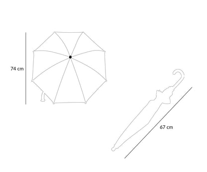 Paraguas transparente para coches