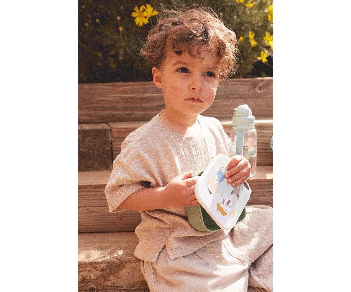 3 Geometric Nature Lunch Boxes