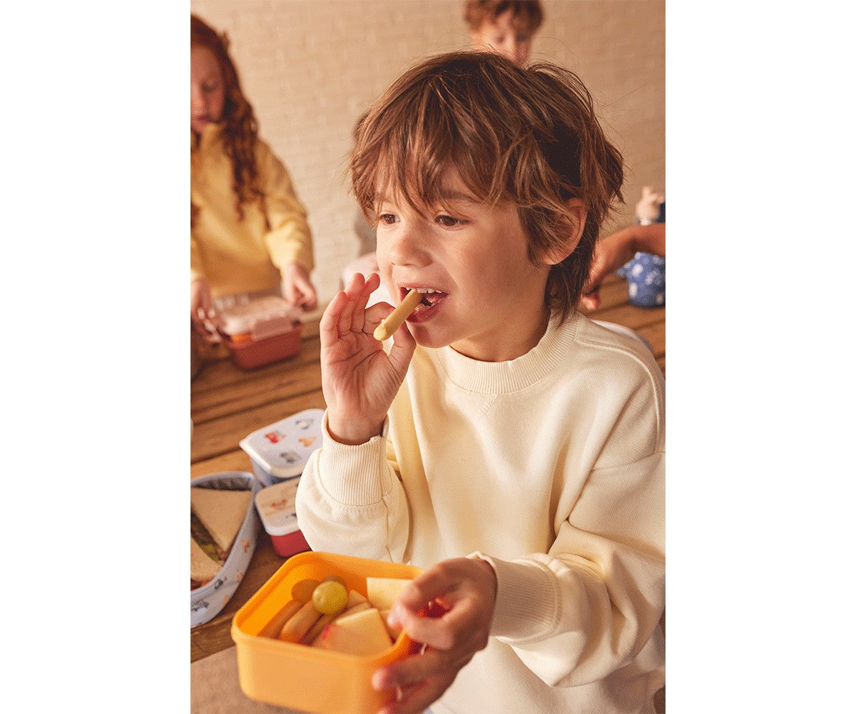 3 Magical Forest Lunch Boxes