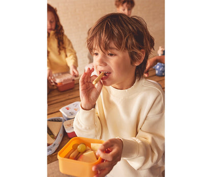 3 Magical Forest Lunch Boxes