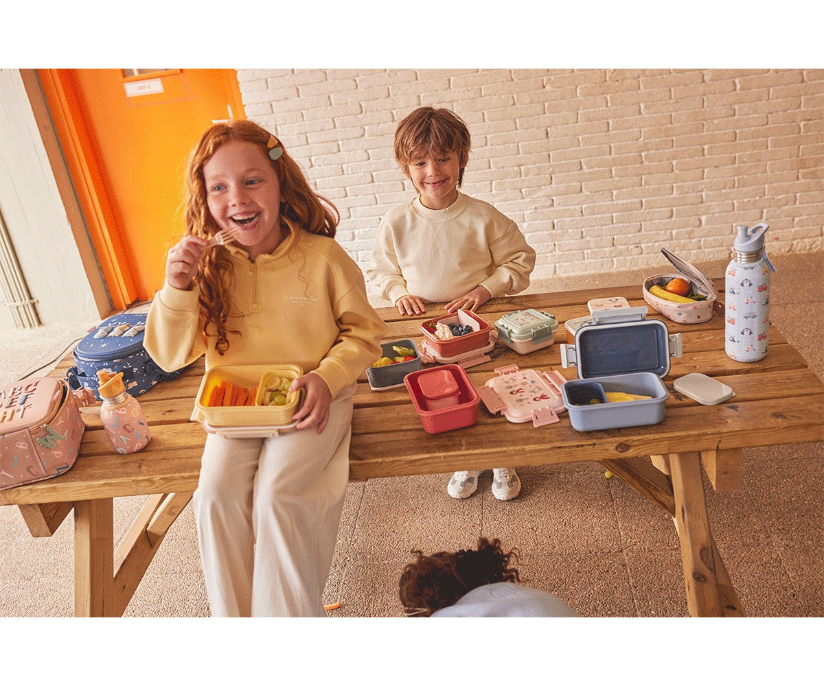 Fiambrera grande para coche