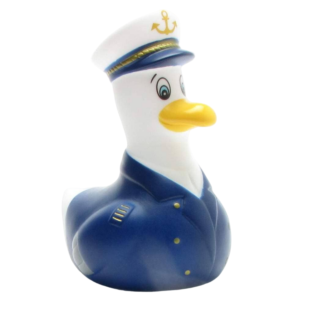 Captain Seagull