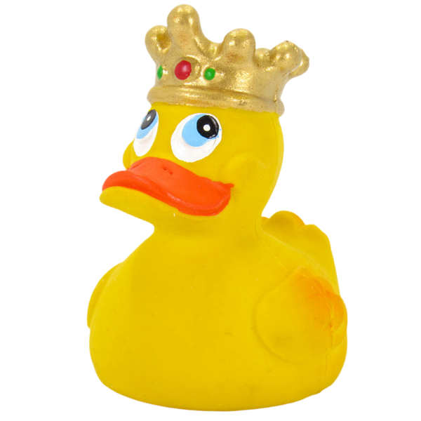 Canard Roi