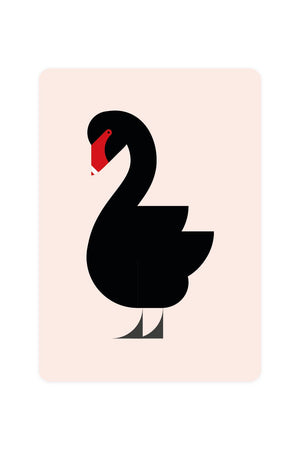 Carte Postale avec Black Swan