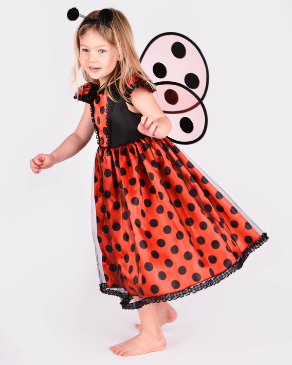 Robe coccinelle avec accessoires pour 2-4 ans (taille 98-104 cm)