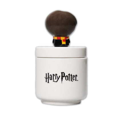 Scatola da collezione in confezione (14 cm) - Harry Potter Kawaii (Harry)