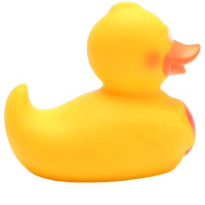 Canard avec Cœur