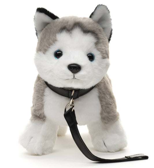 Peluche de husky gris, de pie (con correa)