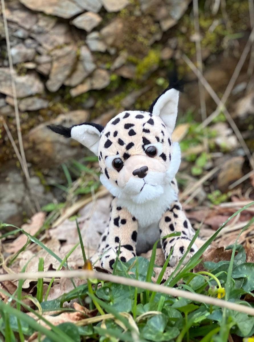 カドル・カブ・リンクスぬいぐるみ