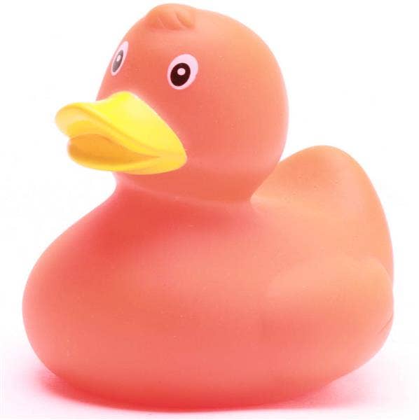 canard classique orange